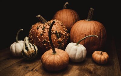 Custom Web Development: So Good, It’s Scary