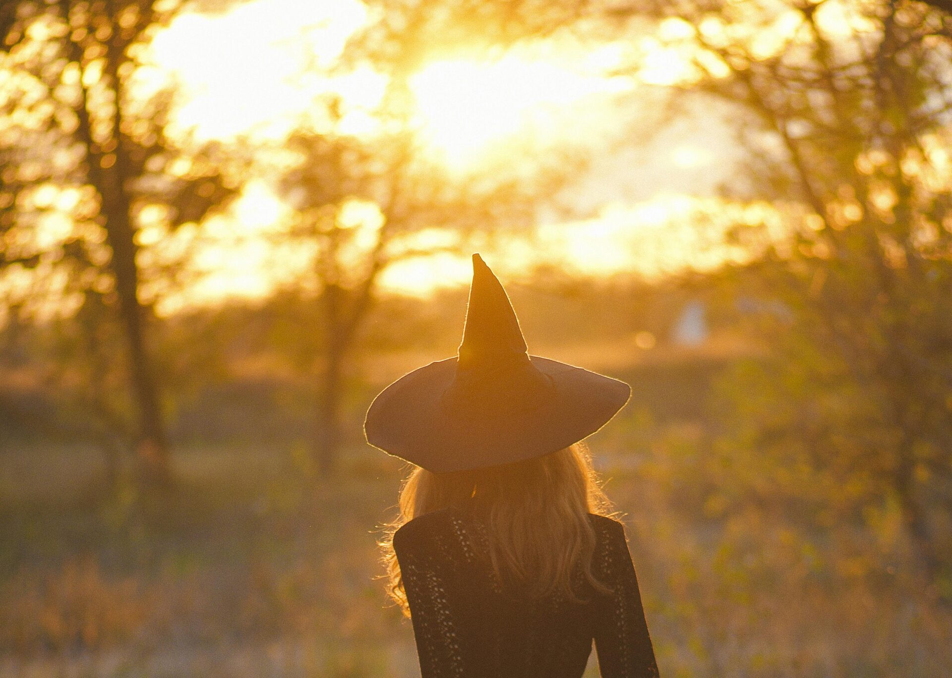 Don't be afraid to build something bewitching with Custom Website Development.  Photo credit by Viktor Iyadr for Pexels.