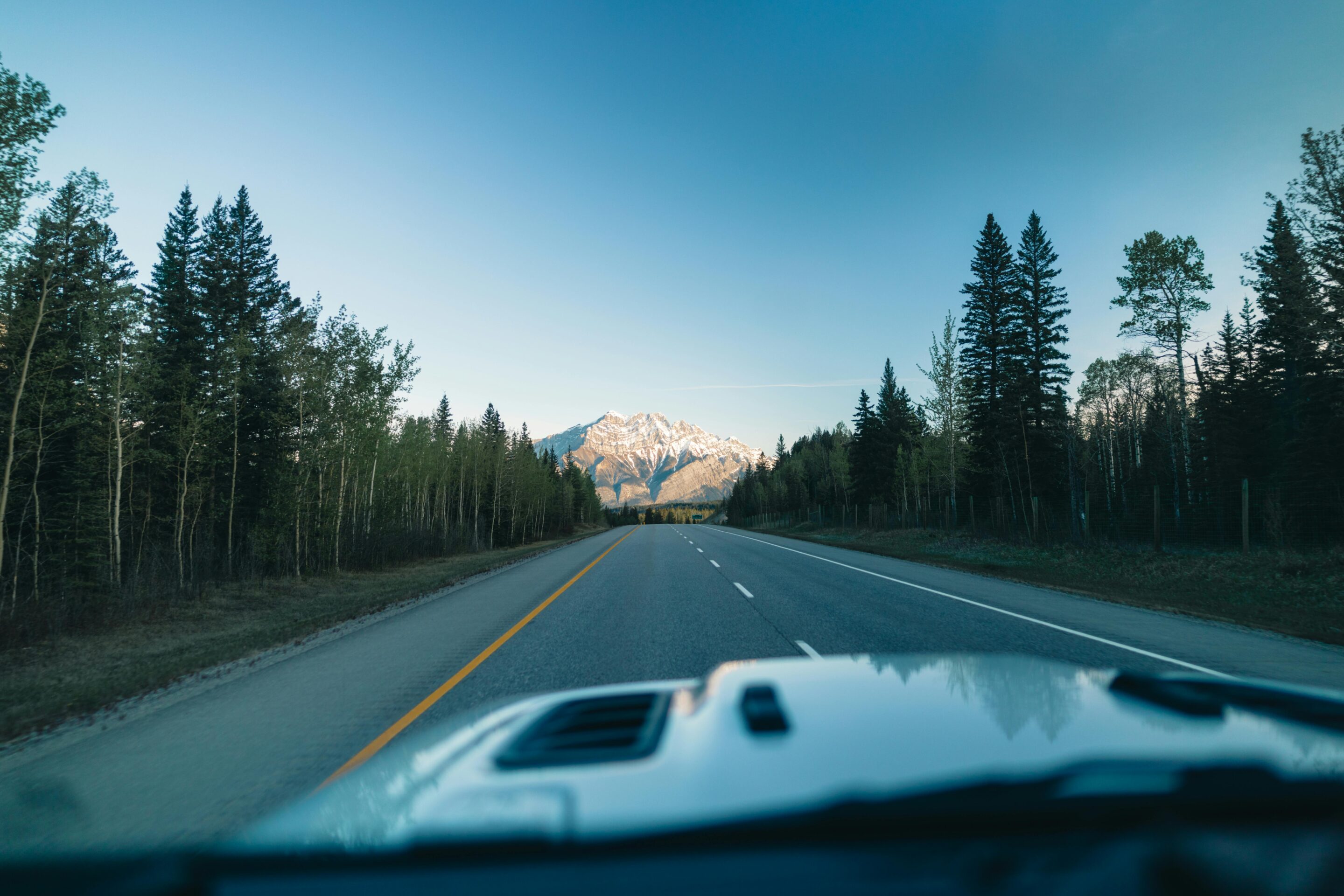 Digital Marketing Services Should Drive Your Business Forward Photo Credit: Ali Kazal for Pexels